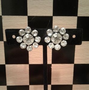 Screwback Crystal Earings